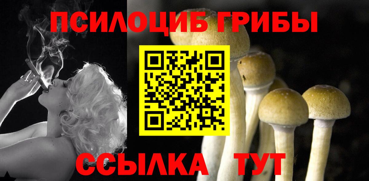 Псилоцибиновые грибы Cubensis Георгиевск